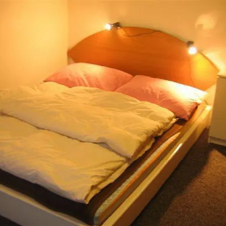3 *